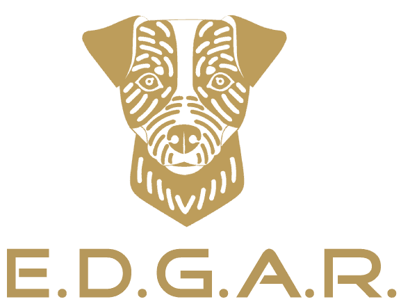 E.D.G.A.R. Logo